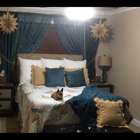 Meet your Posher, Cindy - Picture 4 of 5